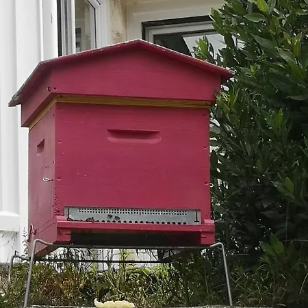 Kip Koul Panzió *